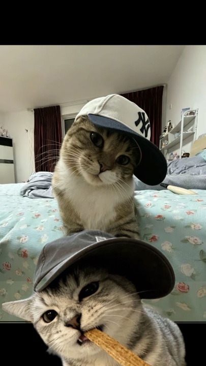 Trend Katze