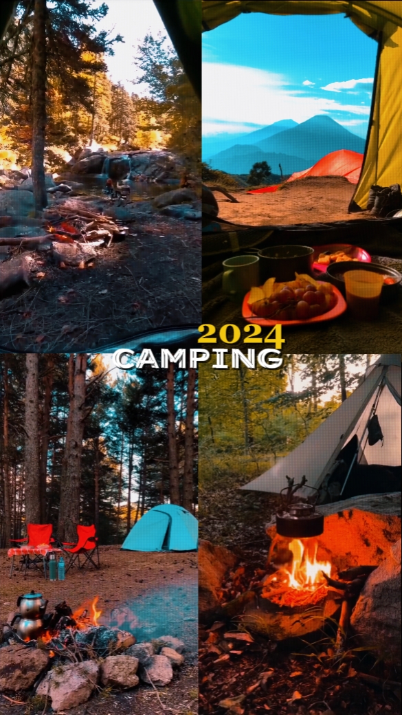 Camping Vibes 