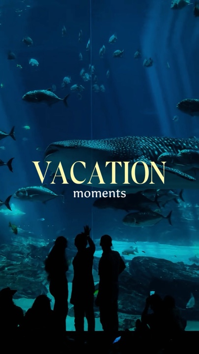 VACATION MOMENTS