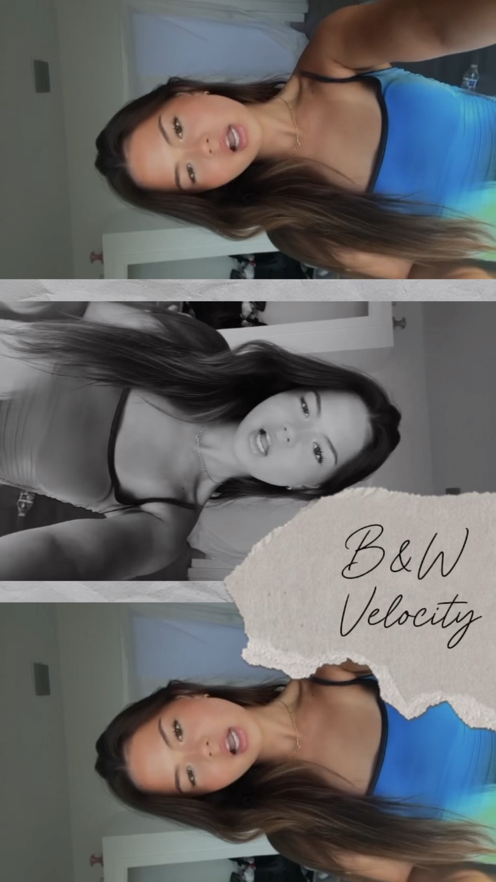 B&W Velocity 