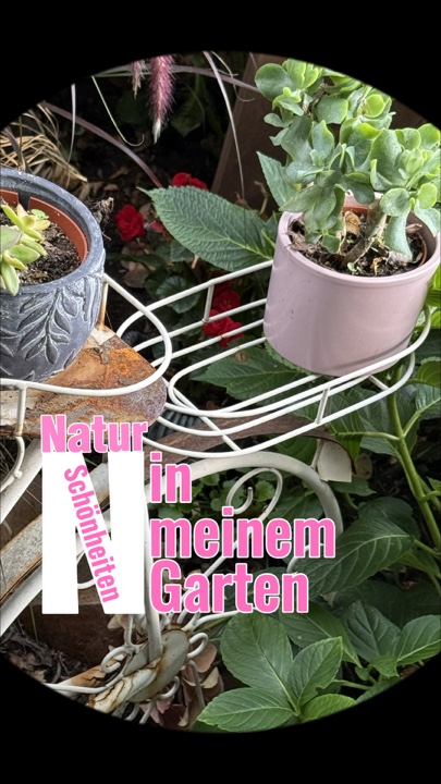 Natur🍀Garten