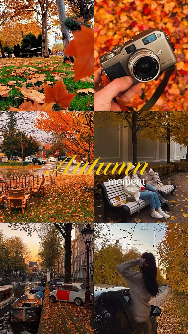 Autumn moment