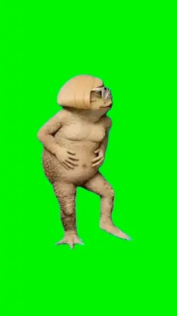 Sapo contenta