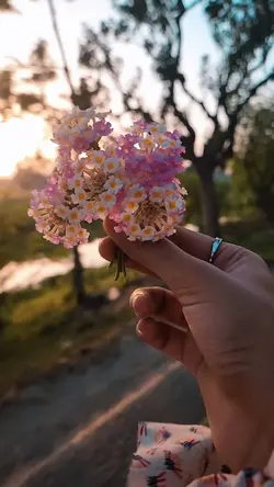 Slowmo smooth soft
