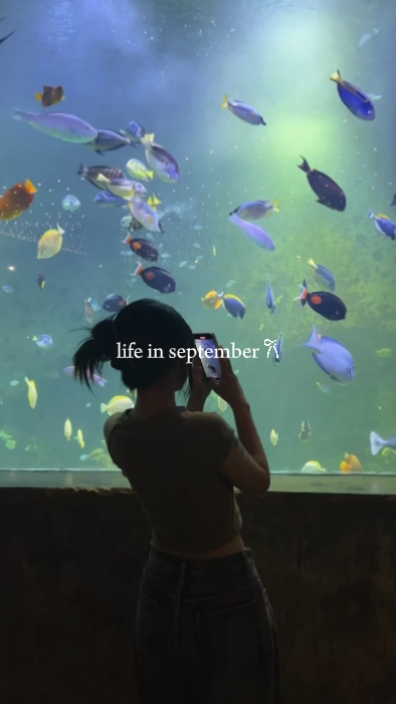 la vie en septembre 
