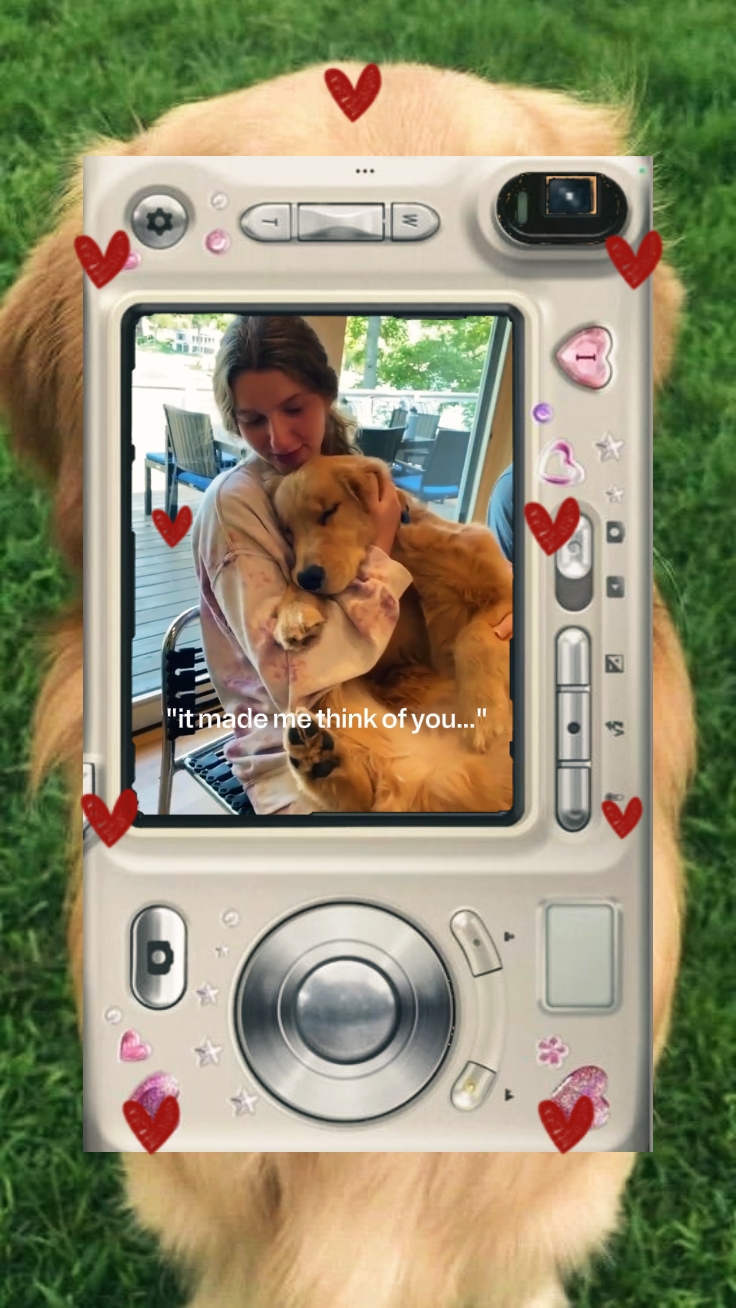 Mon chien 