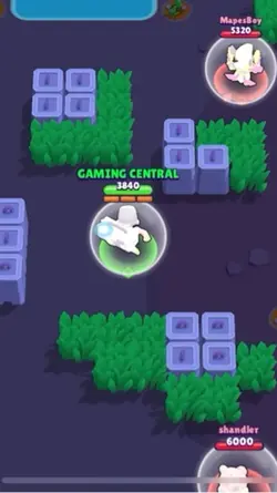 Brawl star