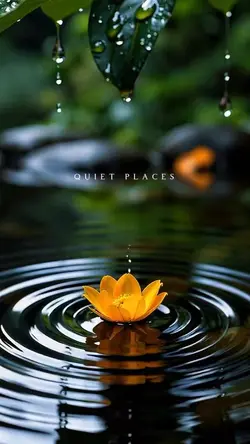 Quiet Places