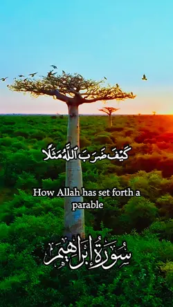 quran template 