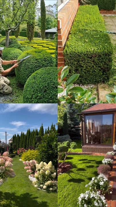 Berkebun