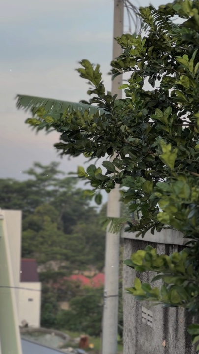 JERNIH HD INEMATIK