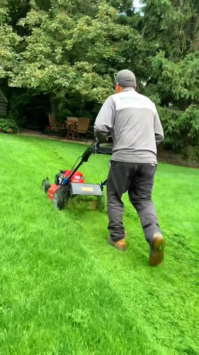 Gardening
