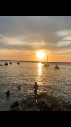 Melhor live fhoto