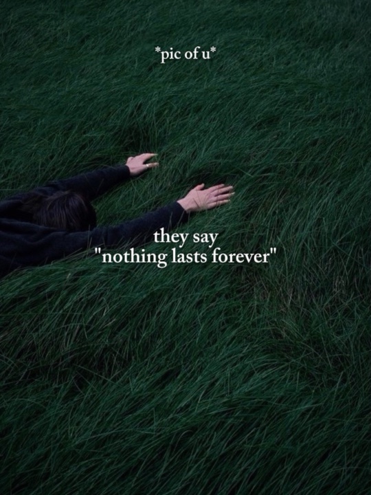 they say nothing
