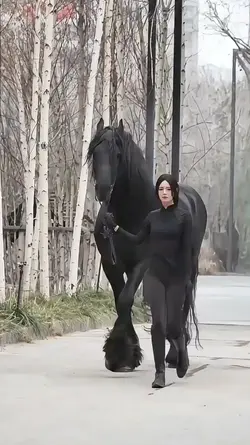 Slomo Pferd 