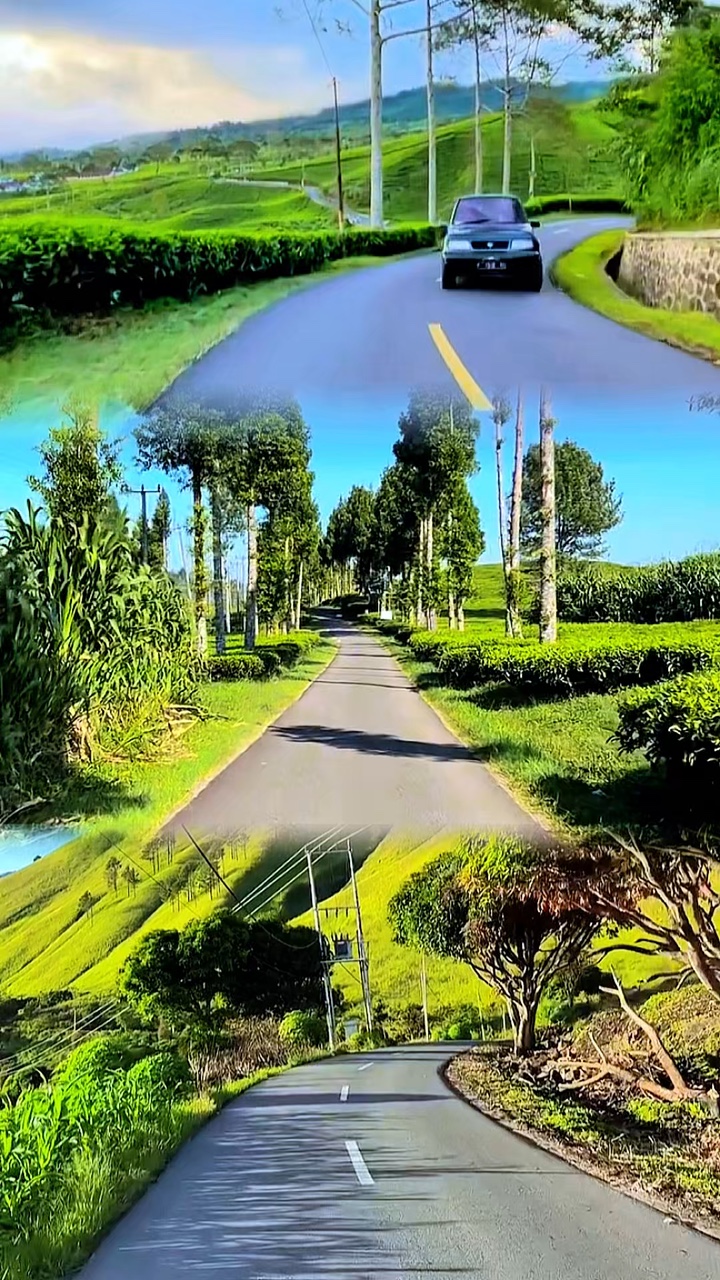 3 vidéo 1 mise en page HD
