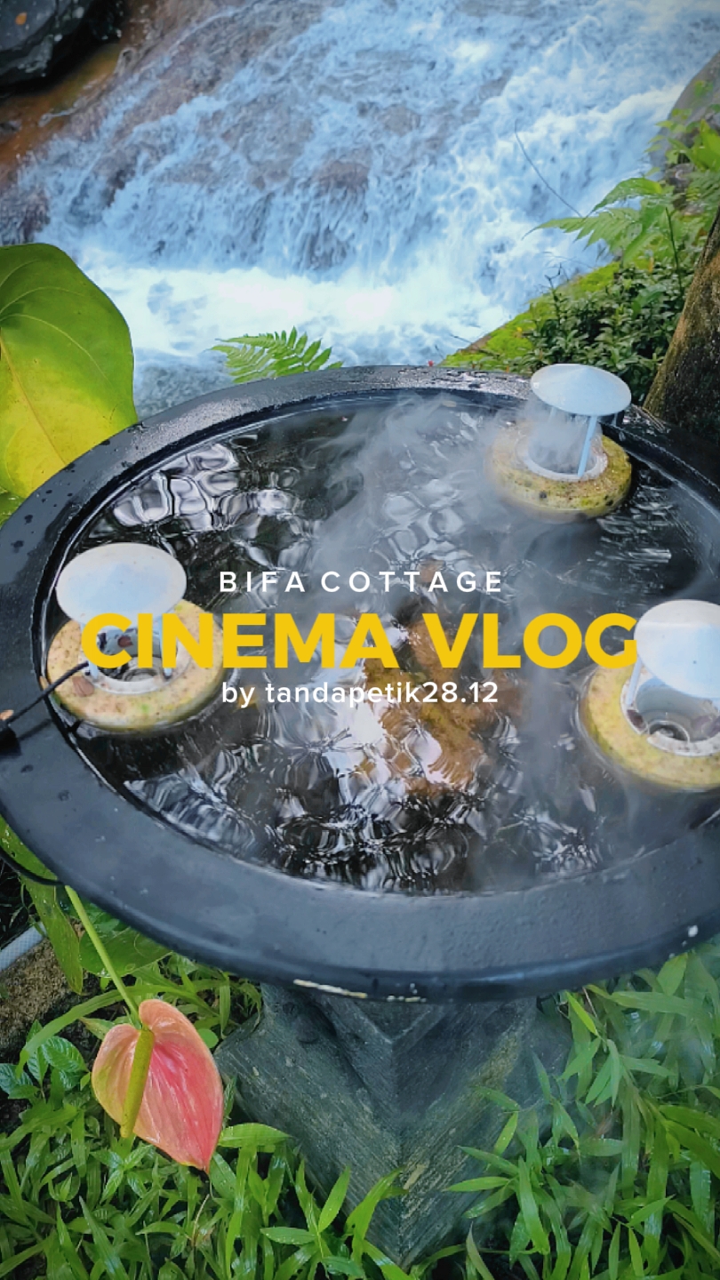 Videografi Estetik