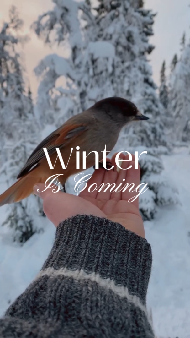 Winter Is Coming 