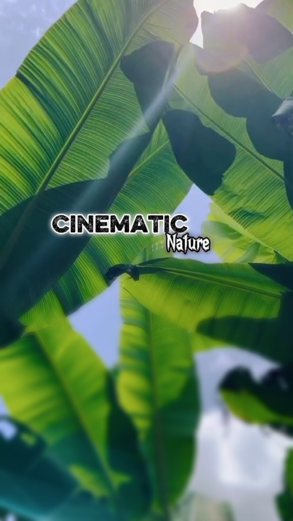 Cinematic 7 Clips 