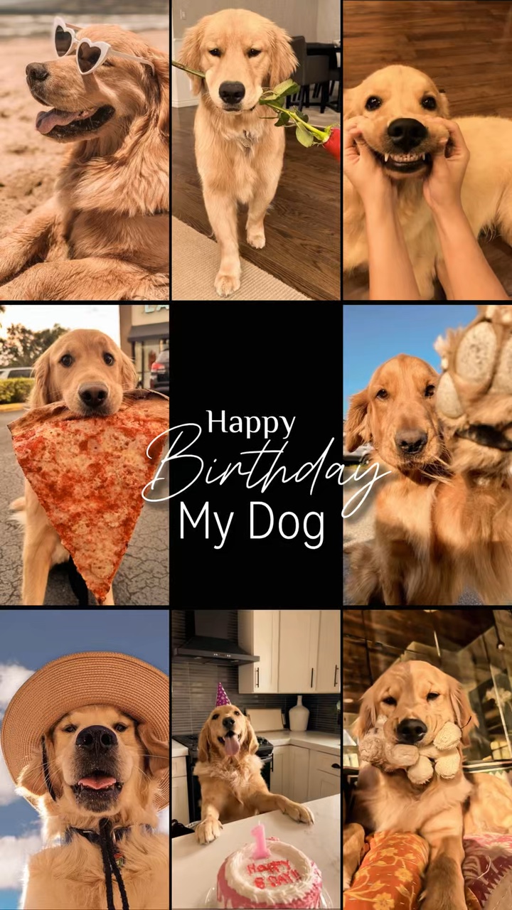 Cumpleaños mi perro 