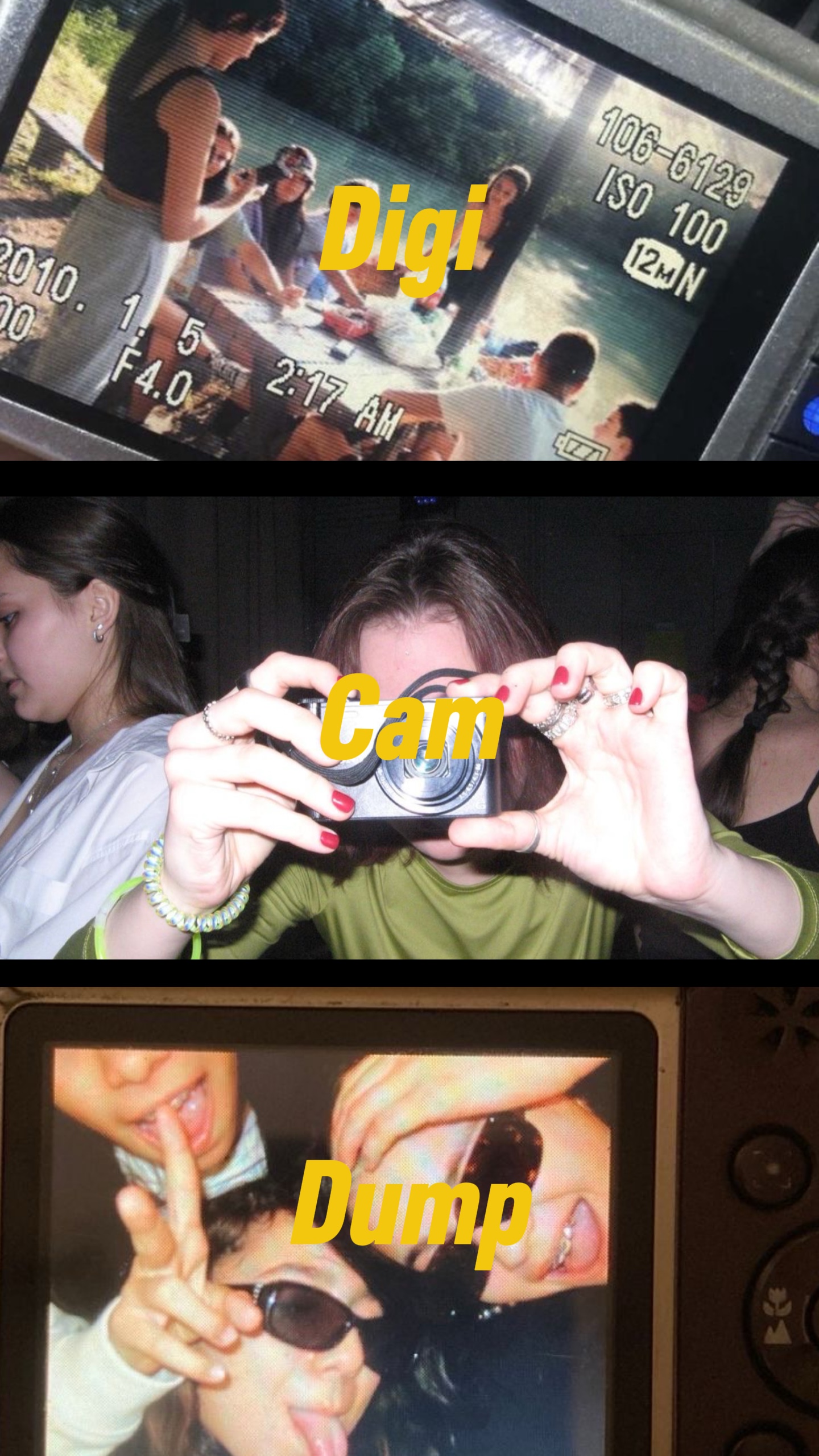 Digi Cam Dump