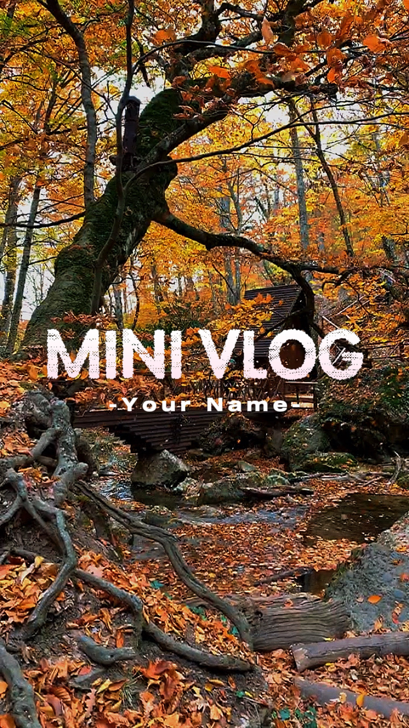 Vlog Sinematik