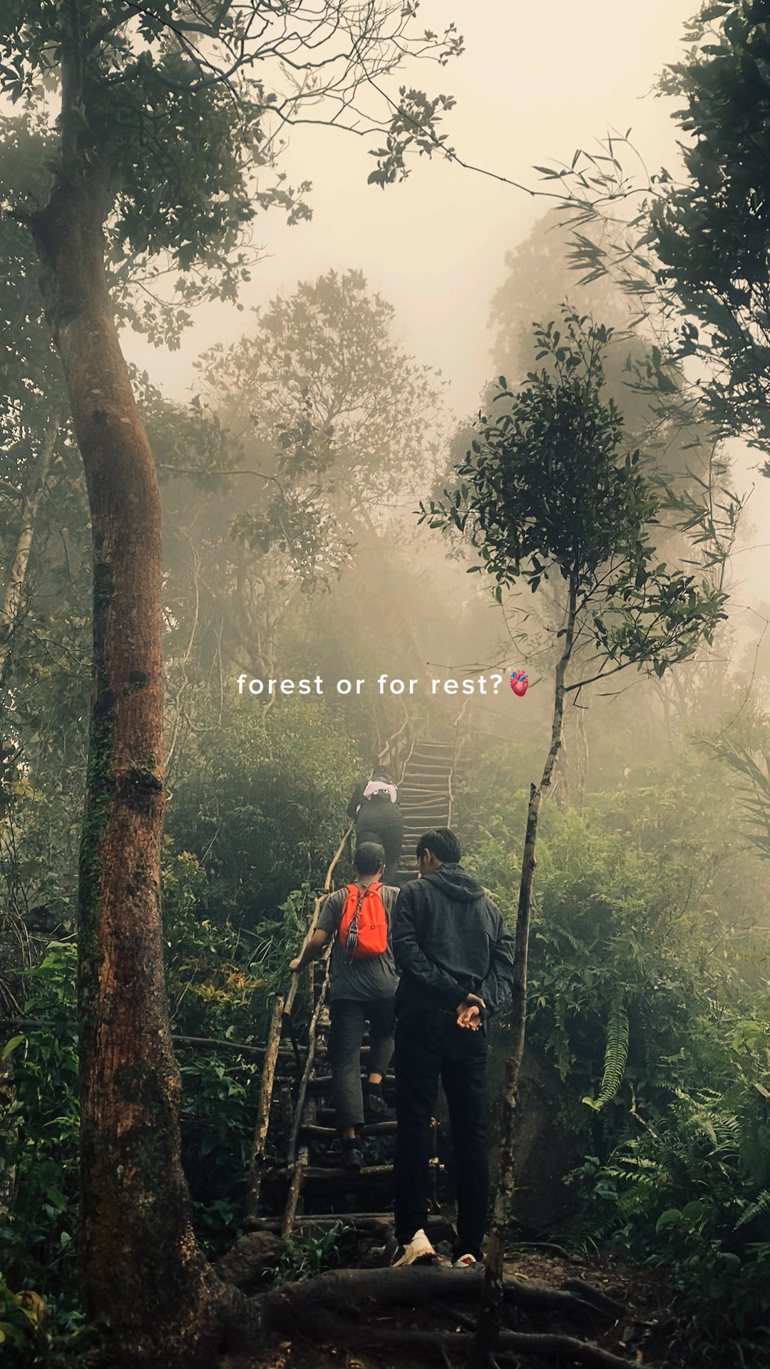 hutan?