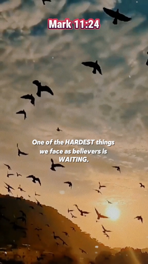 Mark 11:24