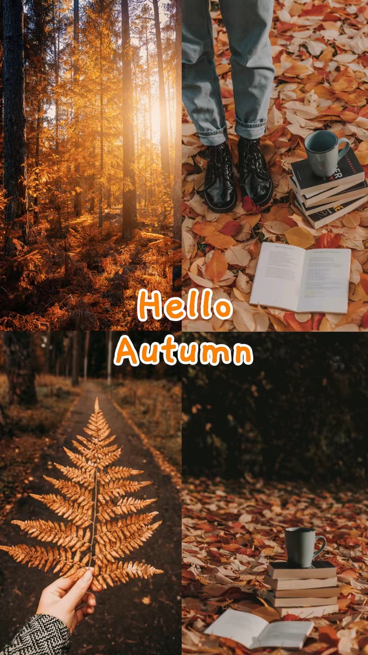 Hallo Herbst