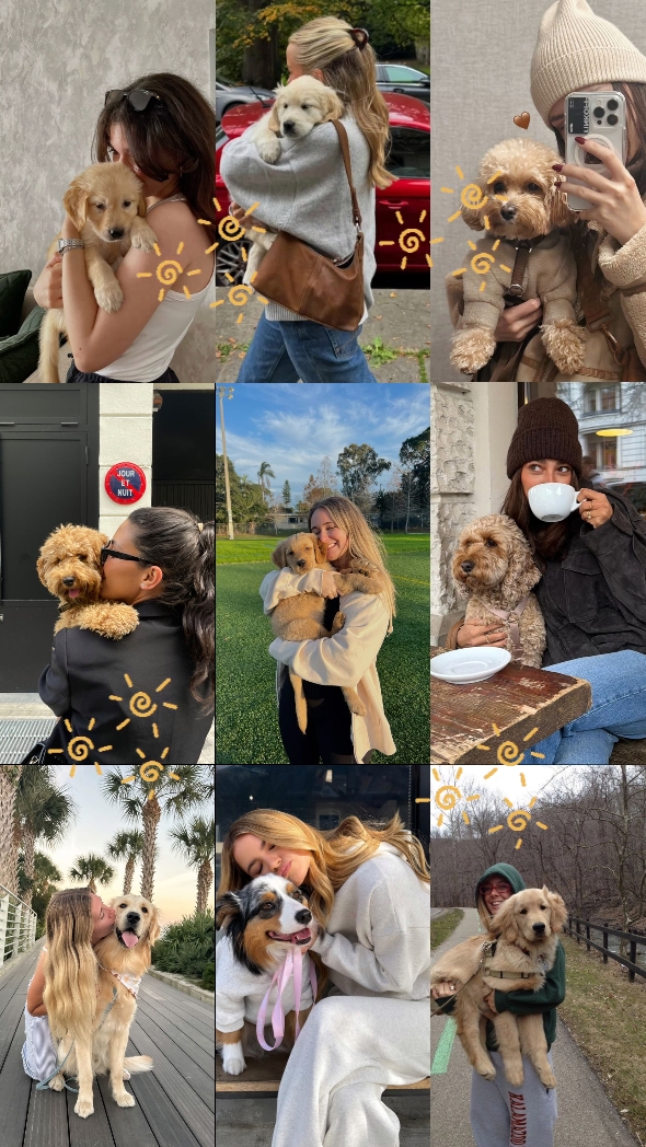 Happy national dog