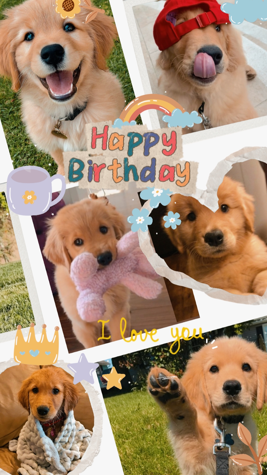 happy birthday pet