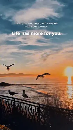 Life Quotes