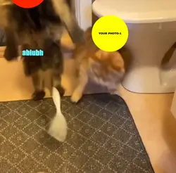 Try new template