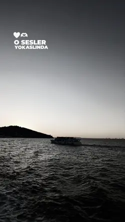 yeni şablon 
