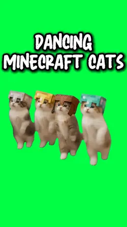 MINECRAFT CATS DANCE