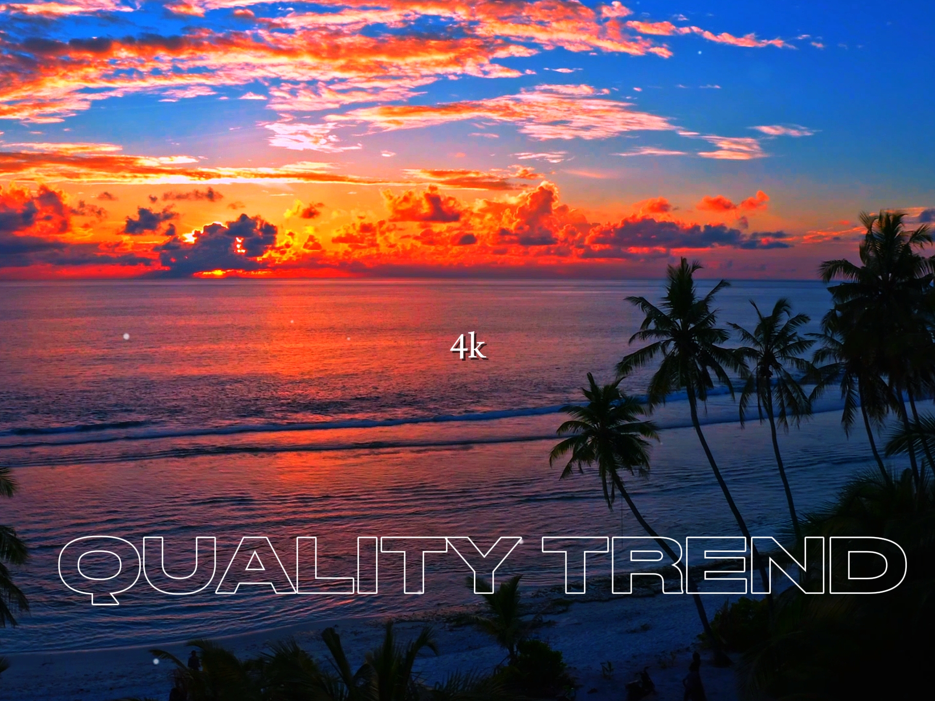 44p VS 4k | | Trend