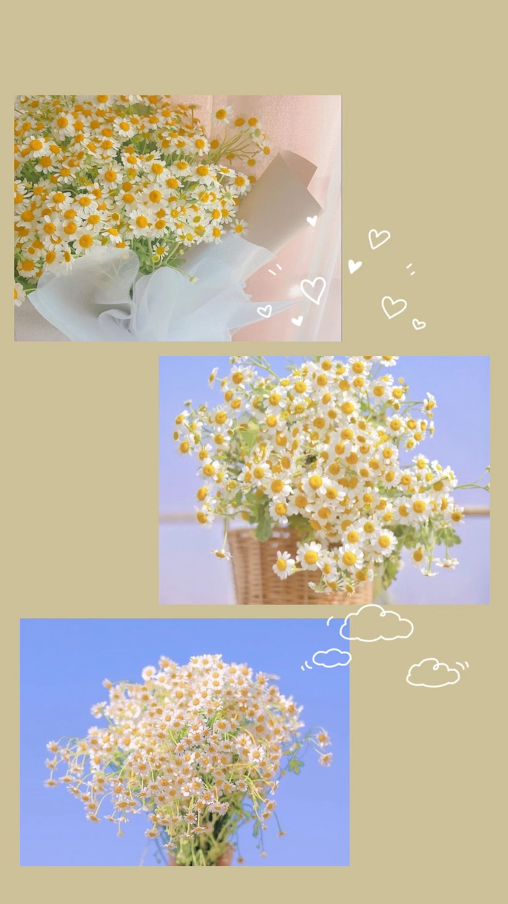 Mẫu 3 ảnh 