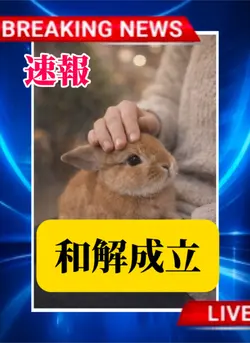 速報 和解成立