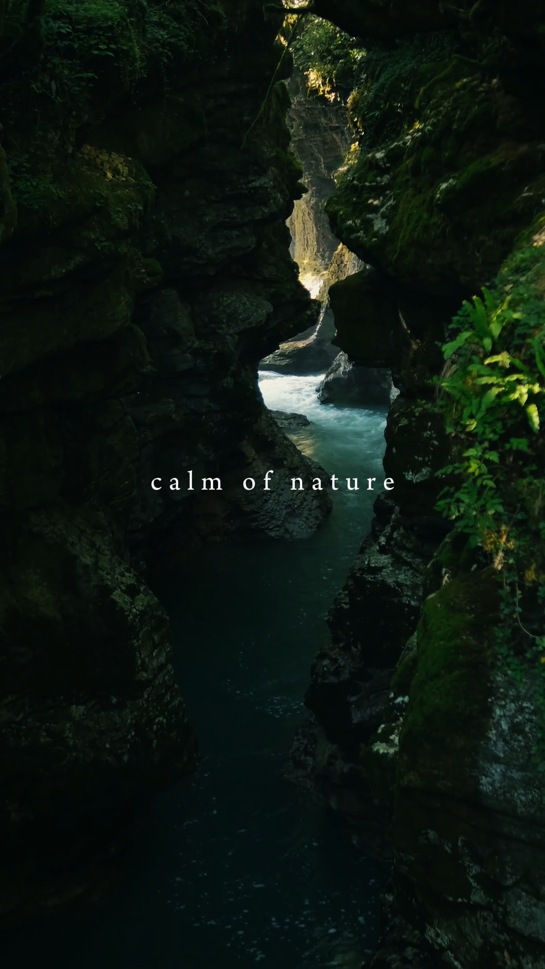 Calm of nature 