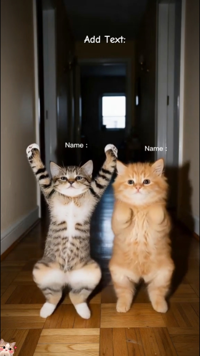 Niedliche Katze Trend 