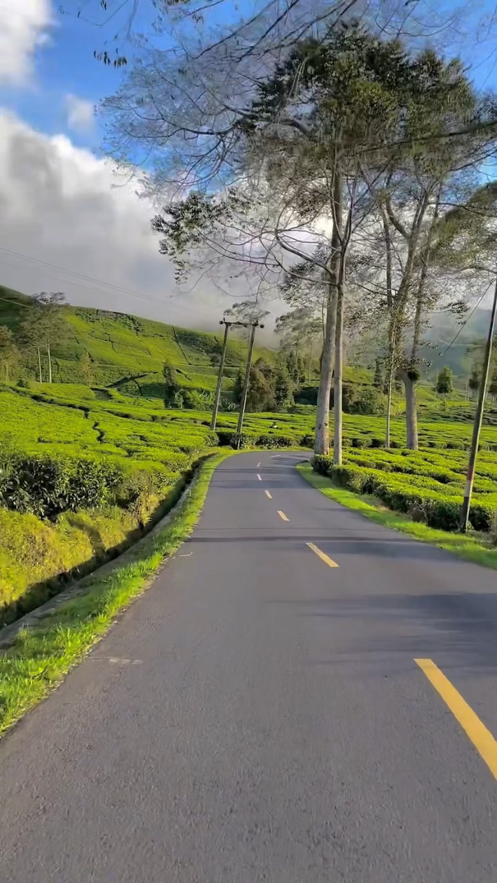 5 video travel