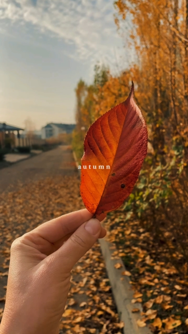 Herbst