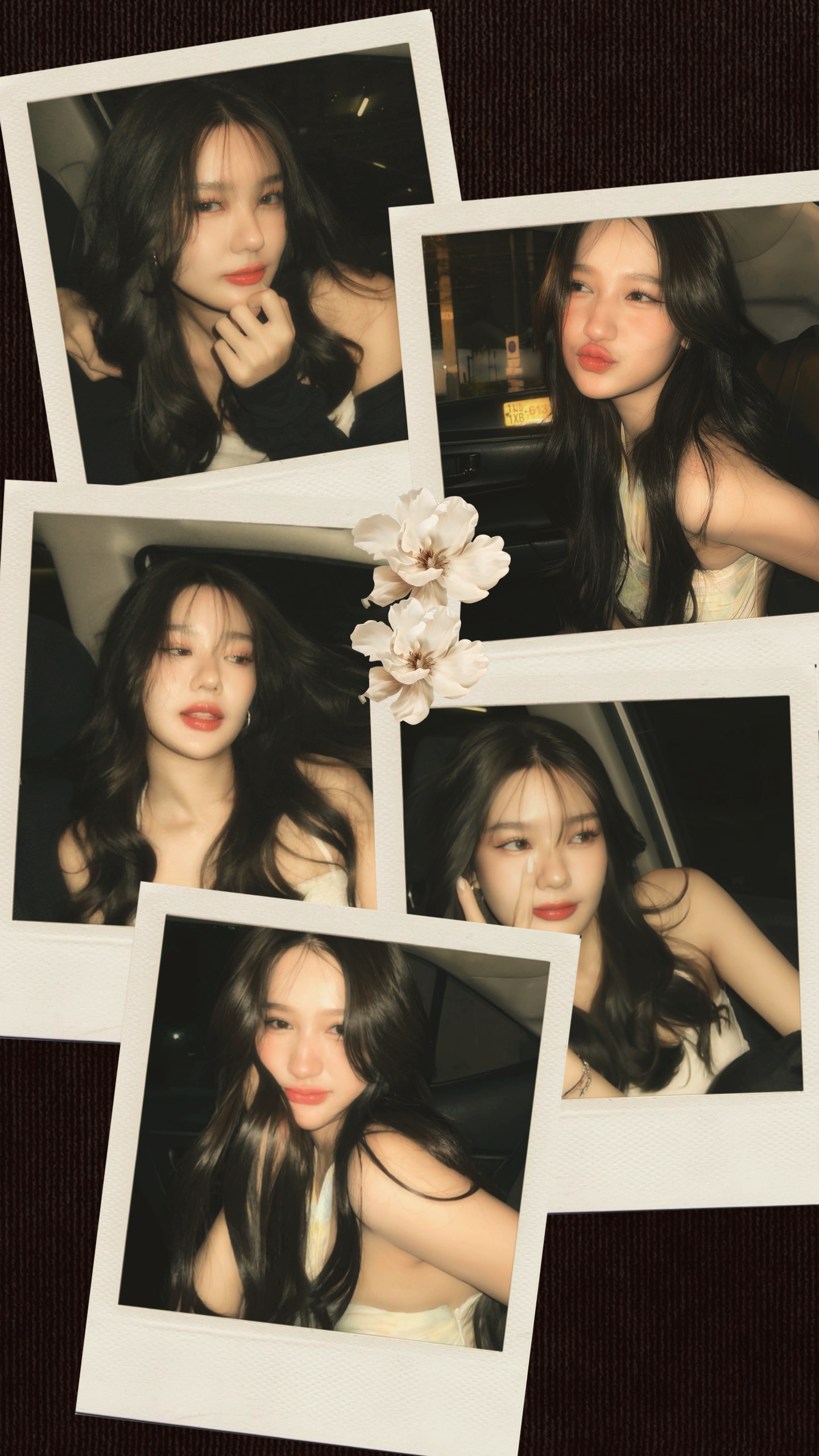 5 frame polaroid 