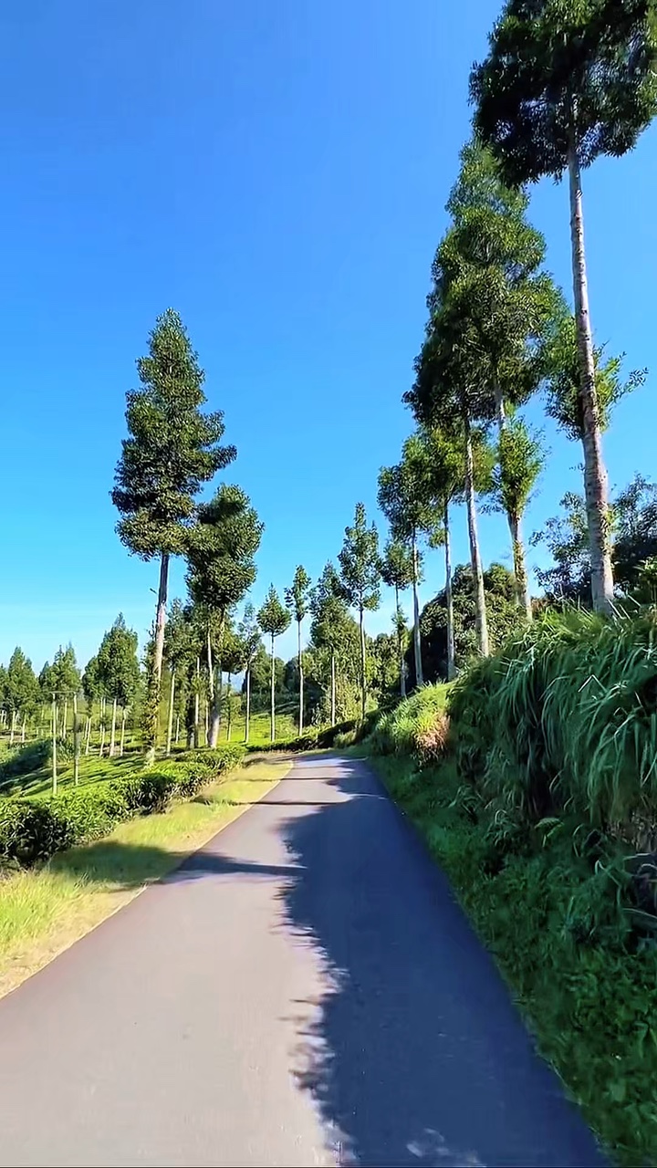 4 video roadtrip