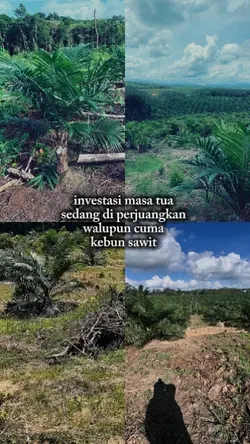 investasi masa tua