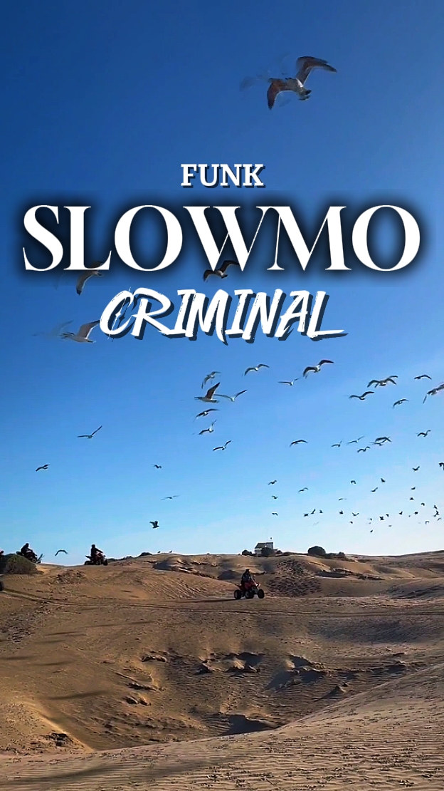 FUNK CRIMINOSO