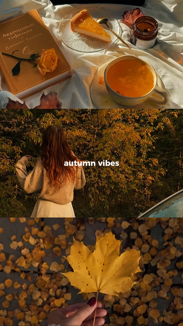 ambiance d'automne