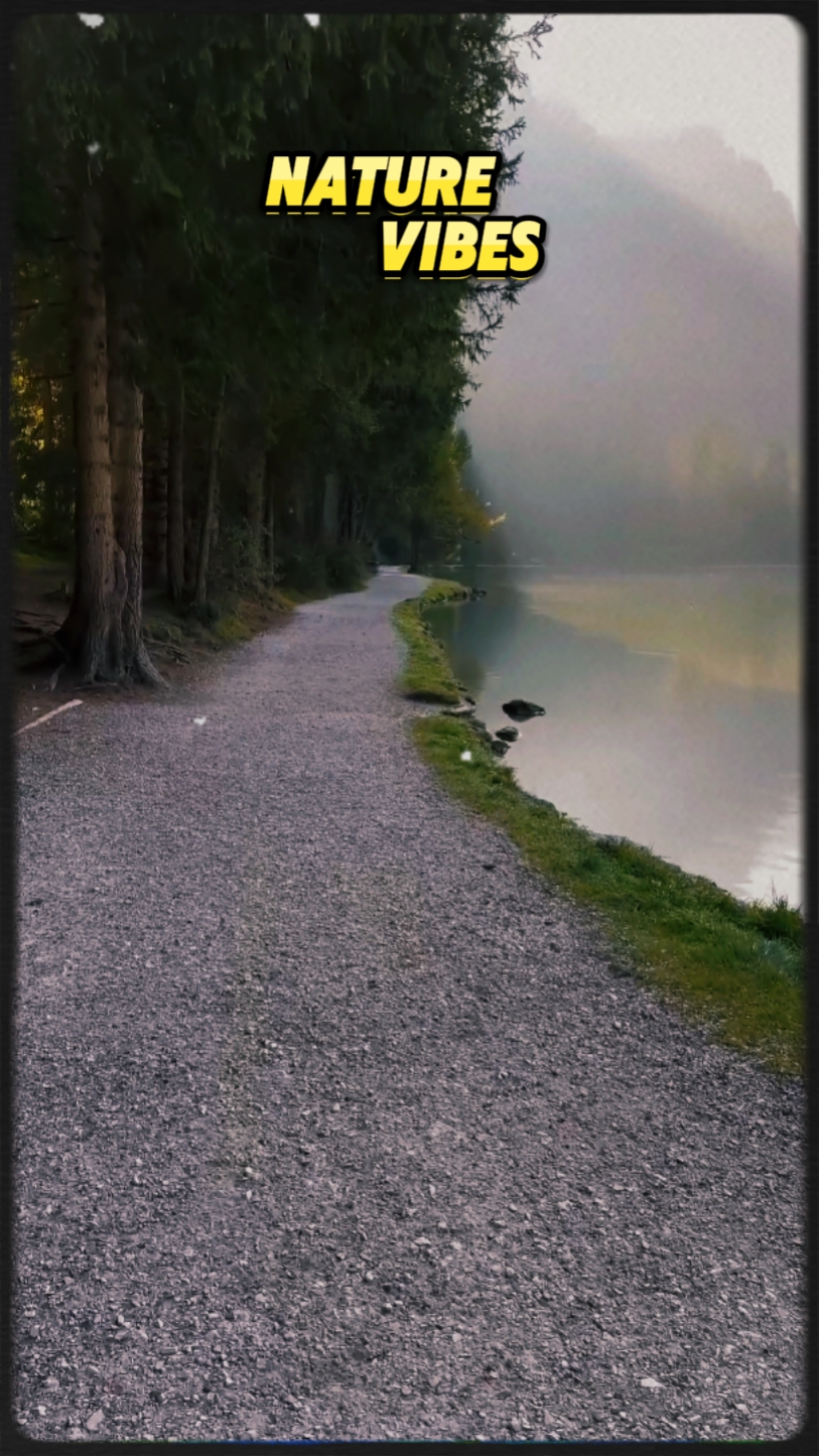 33. Nature vibes