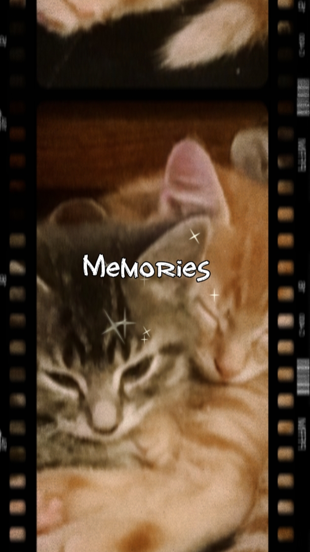Memories