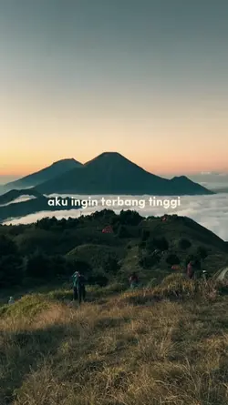 Seperti elang